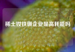 稀土钕铁硼企业是高耗能吗