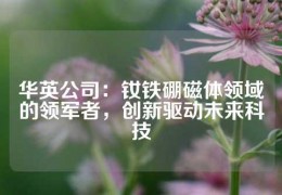 华英公司：钕铁硼磁体领域的领军者，创新驱动未来科技