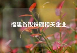 福建省钕铁硼相关企业