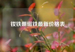 钕铁硼磁铁最新价格表