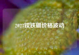 2023钕铁硼价格波动