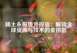 稀土永磁境外投资：解锁全球资源与技术的金钥匙