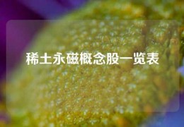 稀土永磁概念股一览表