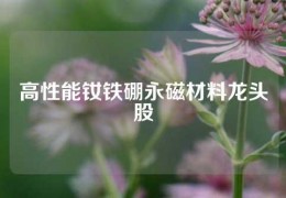 高性能钕铁硼永磁材料龙头股