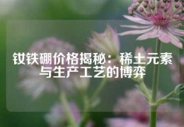 钕铁硼价格揭秘：稀土元素与生产工艺的博弈