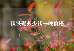 钕铁硼多少钱一吨价格