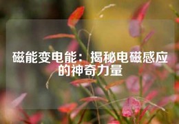 磁能变电能：揭秘电磁感应的神奇力量