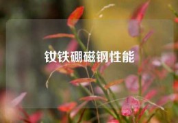 钕铁硼磁钢性能