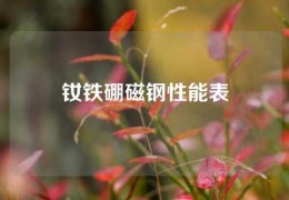 钕铁硼磁钢性能表