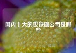 国内十大的钕铁硼公司是哪些