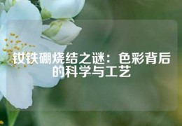 钕铁硼烧结之谜：色彩背后的科学与工艺