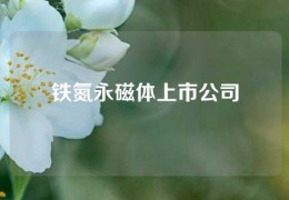 铁氮永磁体上市公司