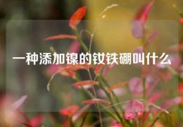 一种添加镍的钕铁硼叫什么