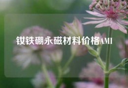 钕铁硼永磁材料价格AMI