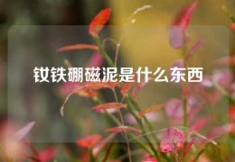 钕铁硼磁泥是什么东西