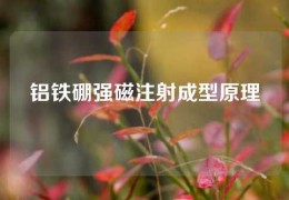 铝铁硼强磁注射成型原理