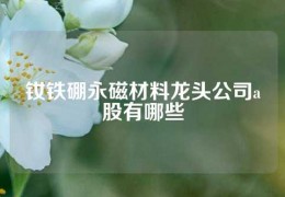 钕铁硼永磁材料龙头公司a股有哪些