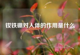 钕铁硼对人体的作用是什么