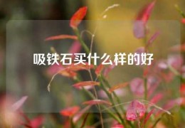 吸铁石买什么样的好