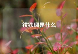 钕铁硼是什么