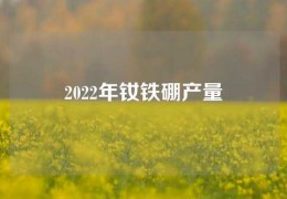 2022年钕铁硼产量