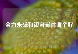 金力永磁和银河磁体哪个好