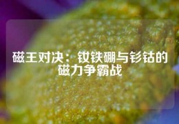 磁王对决：钕铁硼与钐钴的磁力争霸战