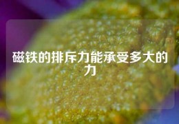 磁铁的排斥力能承受多大的力