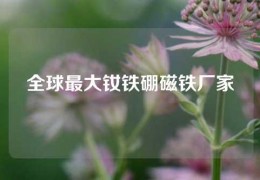 全球最大钕铁硼磁铁厂家