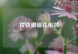 钕铁硼磁铁形状