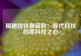 揭秘钕铁硼磁粉：现代科技的黑科技之心