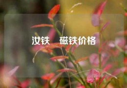 汝铁錋磁铁价格