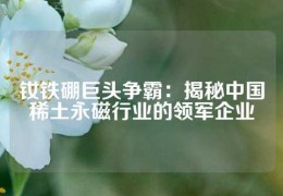 钕铁硼巨头争霸：揭秘中国稀土永磁行业的领军企业