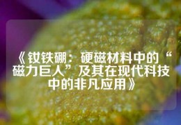 《钕铁硼：硬磁材料中的“磁力巨人”及其在现代科技中的非凡应用》