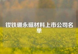 钕铁硼永磁材料上市公司名单