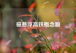 磁悬浮高铁概念股