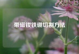 带磁钕铁硼切割方法