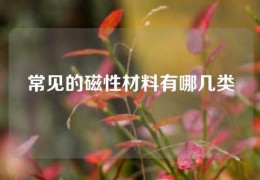 常见的磁性材料有哪几类