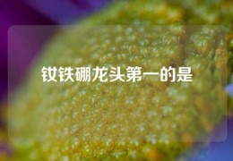 钕铁硼龙头第一的是