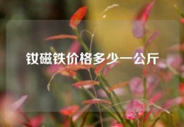 钕磁铁价格多少一公斤