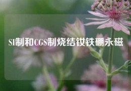 SI制和CGS制烧结钕铁硼永磁