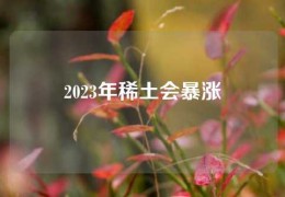 2023年稀土会暴涨