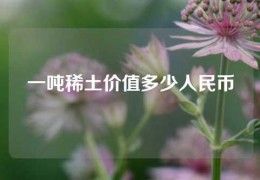 一吨稀土价值多少人民币