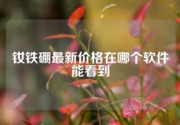 钕铁硼最新价格在哪个软件能看到