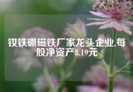 钕铁硼磁铁厂家龙头企业,每股净资产8.19元