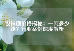 钕铁硼价格揭秘：一吨多少钱？行业案例深度解析