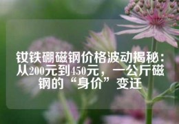 钕铁硼磁钢价格波动揭秘：从200元到450元，一公斤磁钢的“身价”变迁