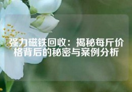 强力磁铁回收：揭秘每斤价格背后的秘密与案例分析