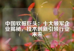 中国软磁巨头：十大领军企业揭秘，技术创新引领行业未来