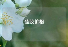 硅胶价格